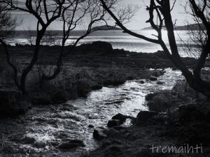 Looking out to Rough Island