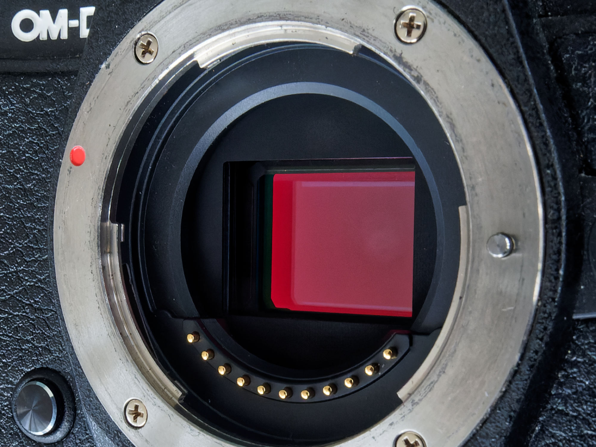 Insider Knowledge Of The Camera Sensor