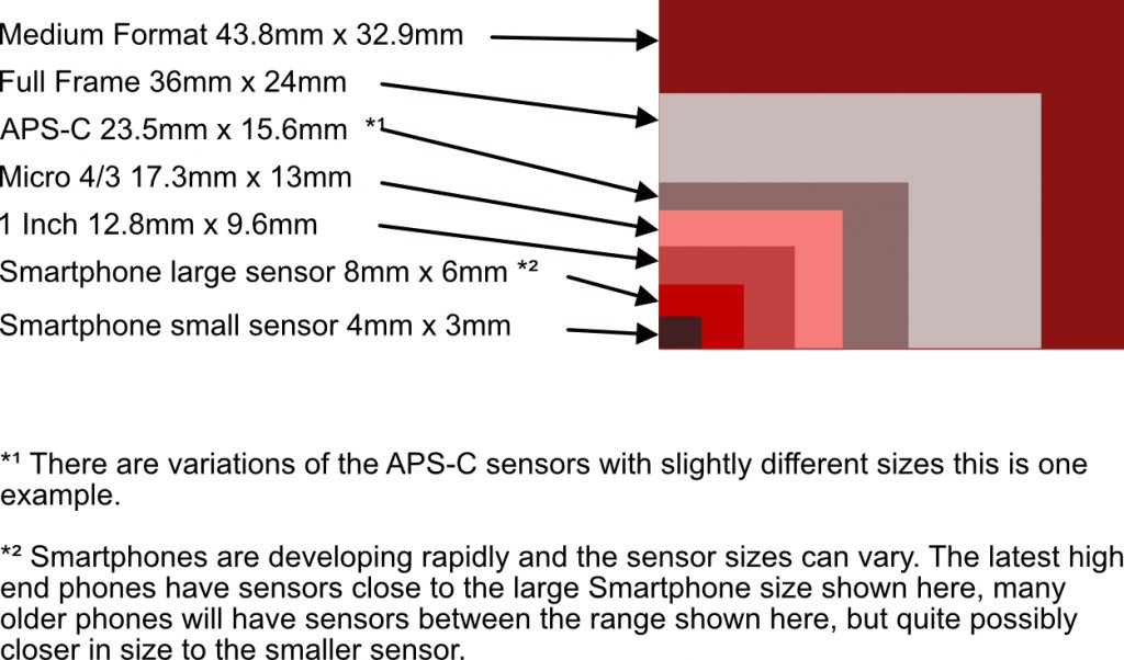 A visual size guide to camera sensors
