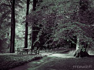 Charming seat in the sun – Duotone Green Channel