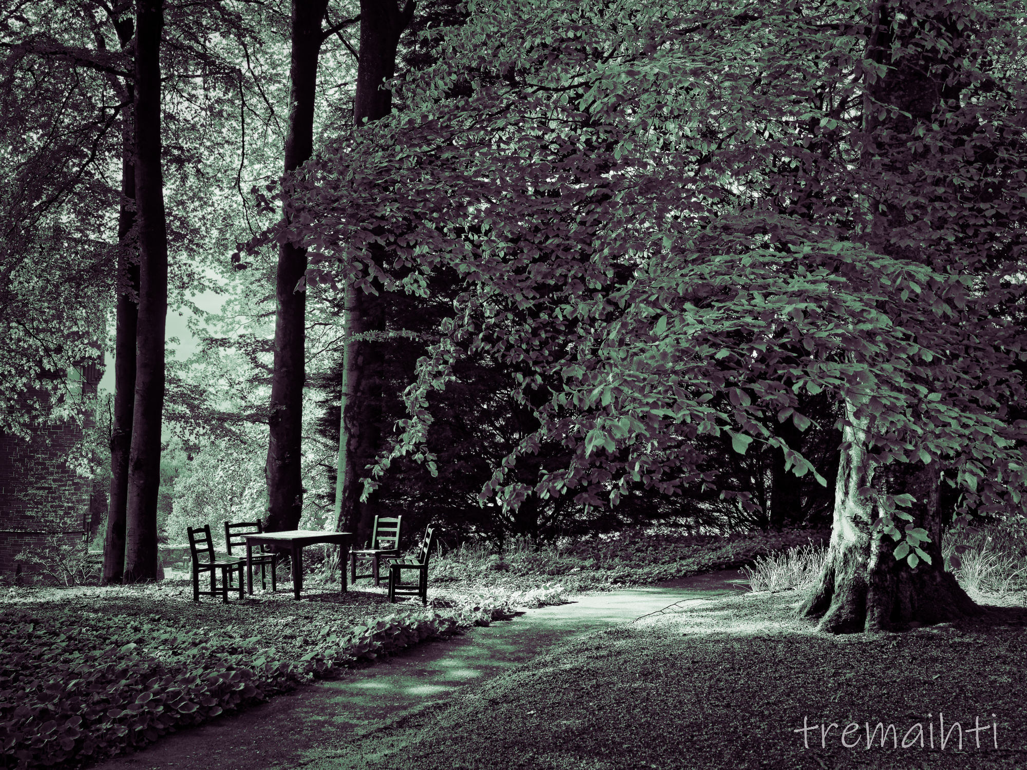 Charming seat in the sun – Duotone Green Channel